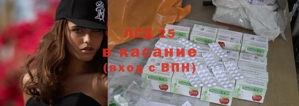 индика Майский