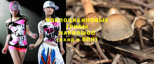 индика Майский
